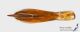 Dicerca_aenea_g_C01164.JPG