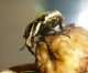 DSC07569.jpg
