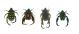 Hopliinae small.jpg