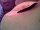 Snapshot_20101114_8.jpg