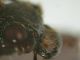 DSCN6139.JPG
