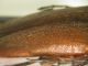 DSCN6137.JPG