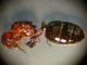 DSCN6334.JPG