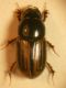 DSCN6437.JPG