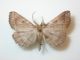 DSCN6507.JPG