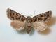 DSCN6505.JPG