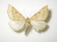 DSCN6581.JPG