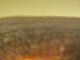 DSCN6658.JPG