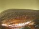 DSCN6657.JPG
