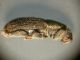 DSCN6679.JPG