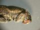 DSCN6680.JPG
