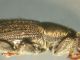DSCN6681.JPG