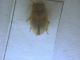 DSCN3810.JPG