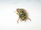 DSCN6705.JPG
