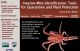 mites.jpg