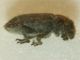 DSCN6771.JPG