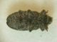 DSCN6773.JPG