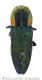 035_Anthaxia sponsawtmk.jpg
