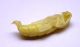8.pupa.JPG