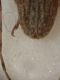 DSCN6846.JPG