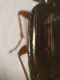 DSCN6877.JPG