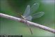 2009_08_05_al_lume1_IMG_0070.jpg