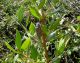 DSCF1761.jpg