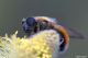 DSC_3747apbase.jpg