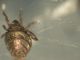 DSCN6975.JPG