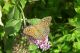 DSCN6243.JPG