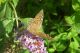 DSCN6244.JPG