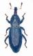 Sardegna 006 copia.jpg