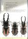 Illustrated catalogue of the Lucanidae from Africa and Madagascar  157.jpg