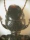 DSCN7038.JPG