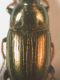 DSCN7054.JPG
