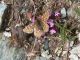 U-2805 - EA00.10 - Al Rifugio Bignami   16, 17, 18  LUG - 2007 213.jpg