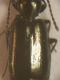 DSCN7118.JPG