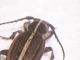DSCN4108.JPG