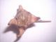 DSCN4148.JPG