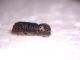 DSCN4118.JPG