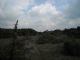 Maccarese (RM) (27.03.2011) 001.jpg
