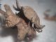 DSCN4159.JPG