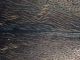 Dytiscidae_06_Tolfa_4-IV-2011_particolare1.jpg