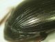 2011-04-19 20-39-41 - 0004.JPG