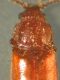 DSCN7206.JPG