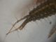 DSCN7218.JPG