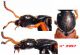 n° 2997 Staphylin.jpg