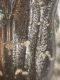 DSCN7364.JPG