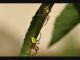 CSC_0236 16_05_2011 18.33_0001.jpg