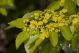 2011_05_16_8950_s.jpg